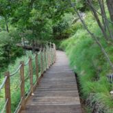 Toscana Ovunque Bella / R. Puccini