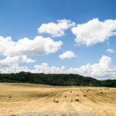 ©Archivio fotografico Comune di Pitigliano