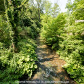 ©Archivio fotografico Comune di Pitigliano
