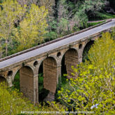 ©Archivio fotografico Comune di Pitigliano