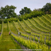 ©Archivio fotografico Comune di Pitigliano