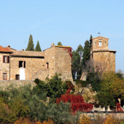 flickr.com/Bruno Brunelli