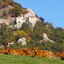 Toscana Ovunque Bella