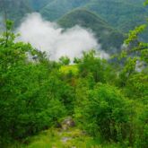 Toscana Ovunque Bella
